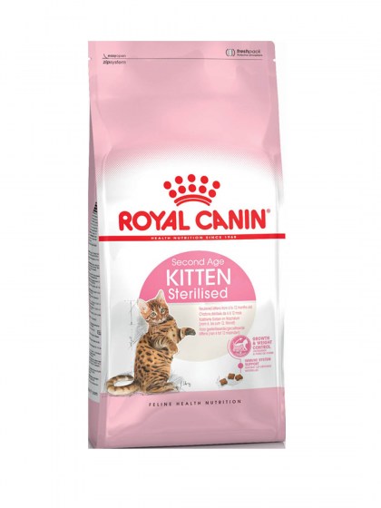 FHN KITTEN STERILISED_web